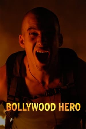 Bollywood Hero