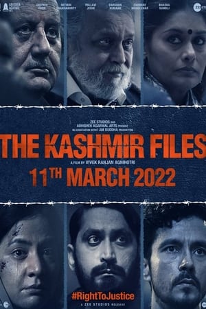 The Kashmir Files ❌